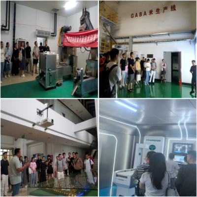 筑夢起航，賦能未來——我院成功舉辦2025年新入職人員高等教育專項崗前培訓
