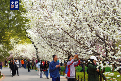 清明假期北京市屬公園及中國園林博物館游客接待量超218萬人次，景區管理成效顯著
